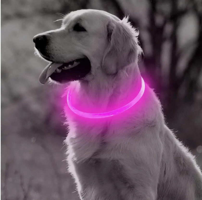 Bright LED USB Rechargeable Dog Pet Safety Night Collar Flashing Luminous Light Up 6 Colour Options and 3 Sizes
